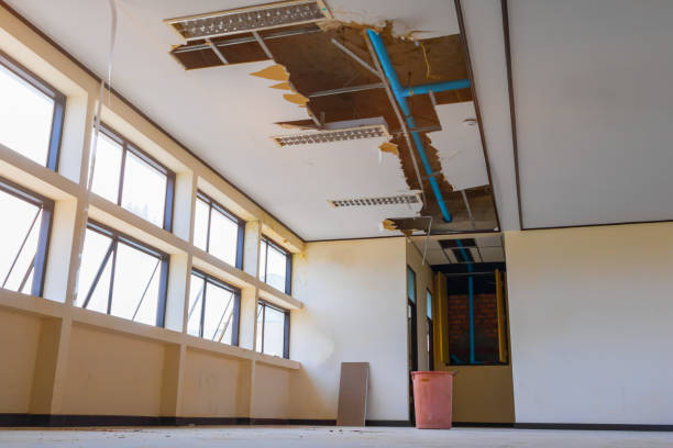 Best Professional water damage repair  in Pleasant Hill, TX