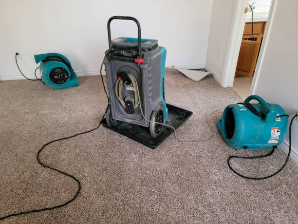 Best Commercial water damage restoration  in Pleasant Hill, TX