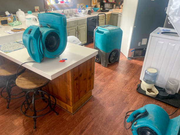 Best Mold removal after water damage  in Pleasant Hill, TX