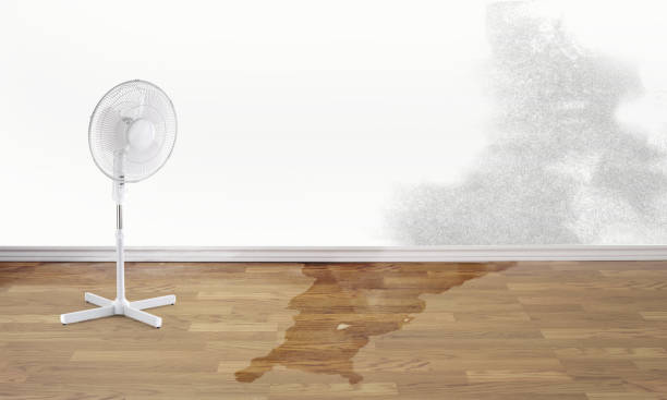 Best Water damage restoration company  in Pleasant Hill, TX