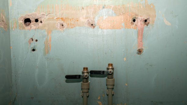 Best Basement water damage restoration  in Pleasant Hill, TX