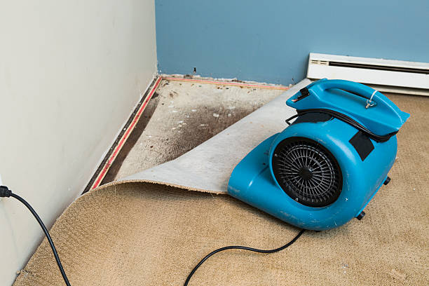 Best Ceiling water damage repair  in Pleasant Hill, TX